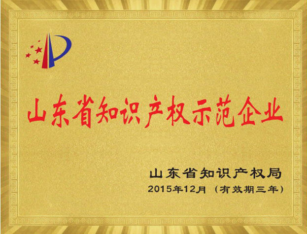山東省知識產權示范企業(yè)